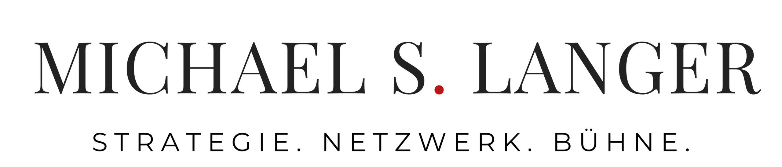 Michael S. Langer – Strategie. Netzwerk. Bühne.